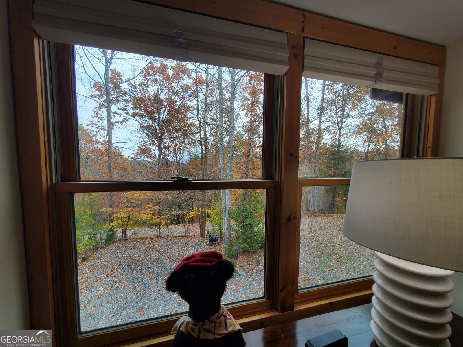 171 Mohawk Trail Ellijay - 33