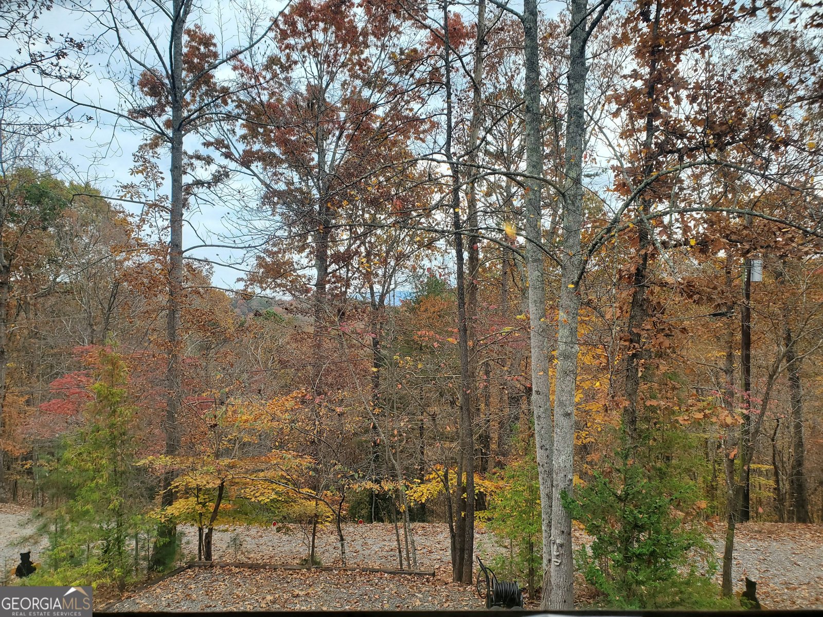 171 Mohawk Trail Ellijay - 34