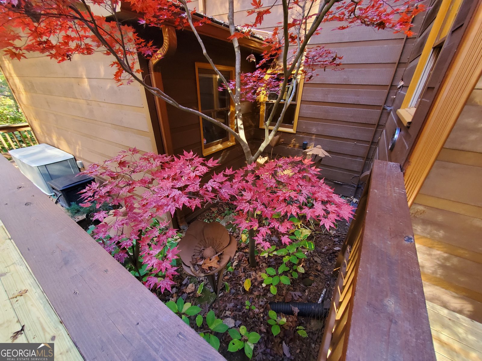 171 Mohawk Trail Ellijay - 4