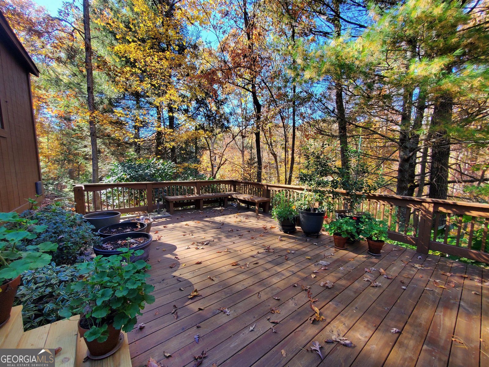 171 Mohawk Trail Ellijay - 45