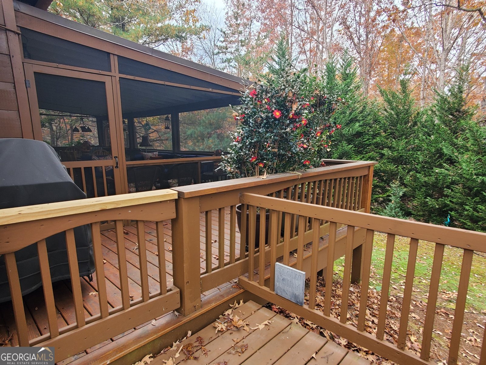 171 Mohawk Trail Ellijay - 8