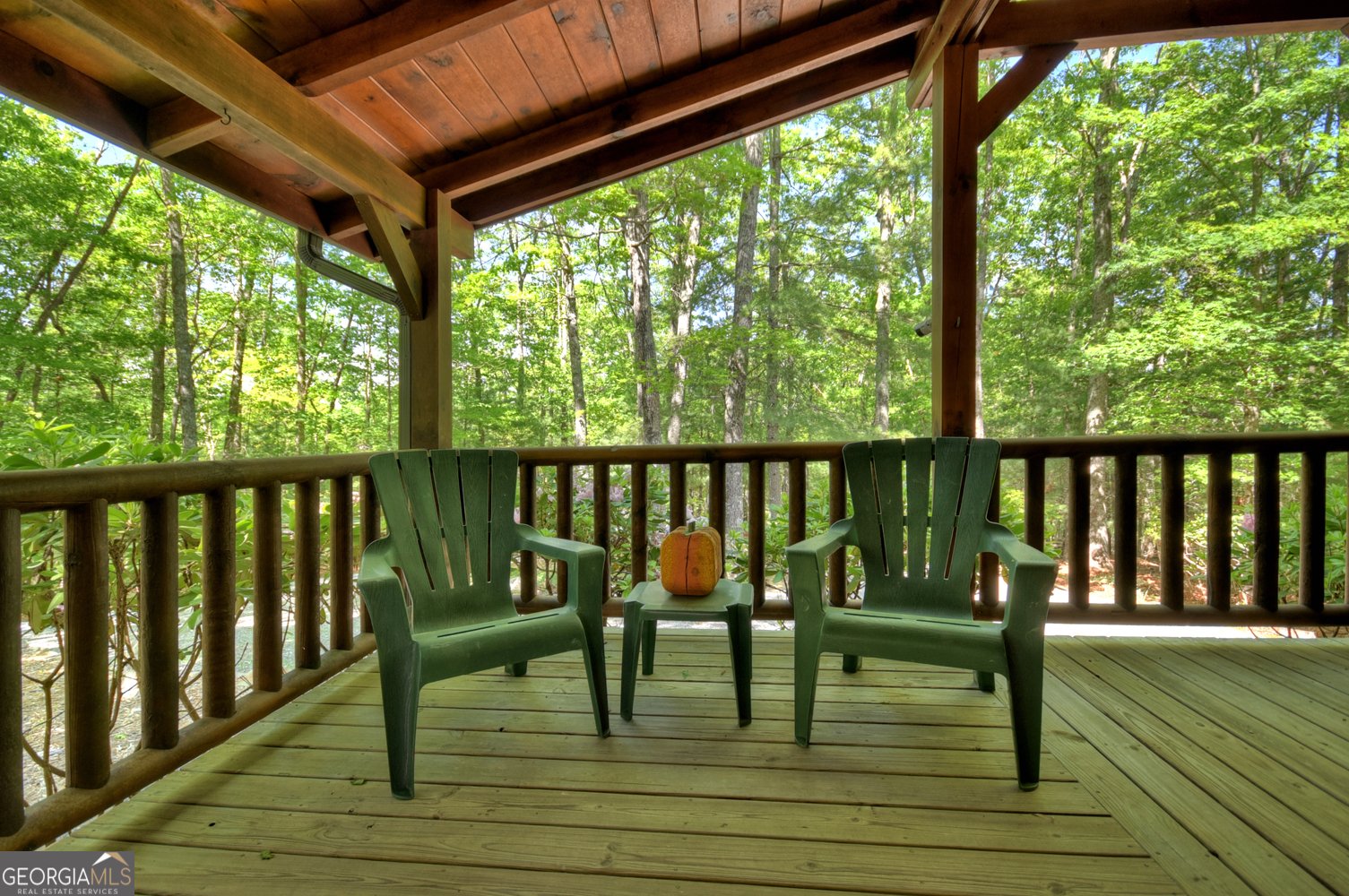 47 Blue Sky Drive Blue Ridge - 40