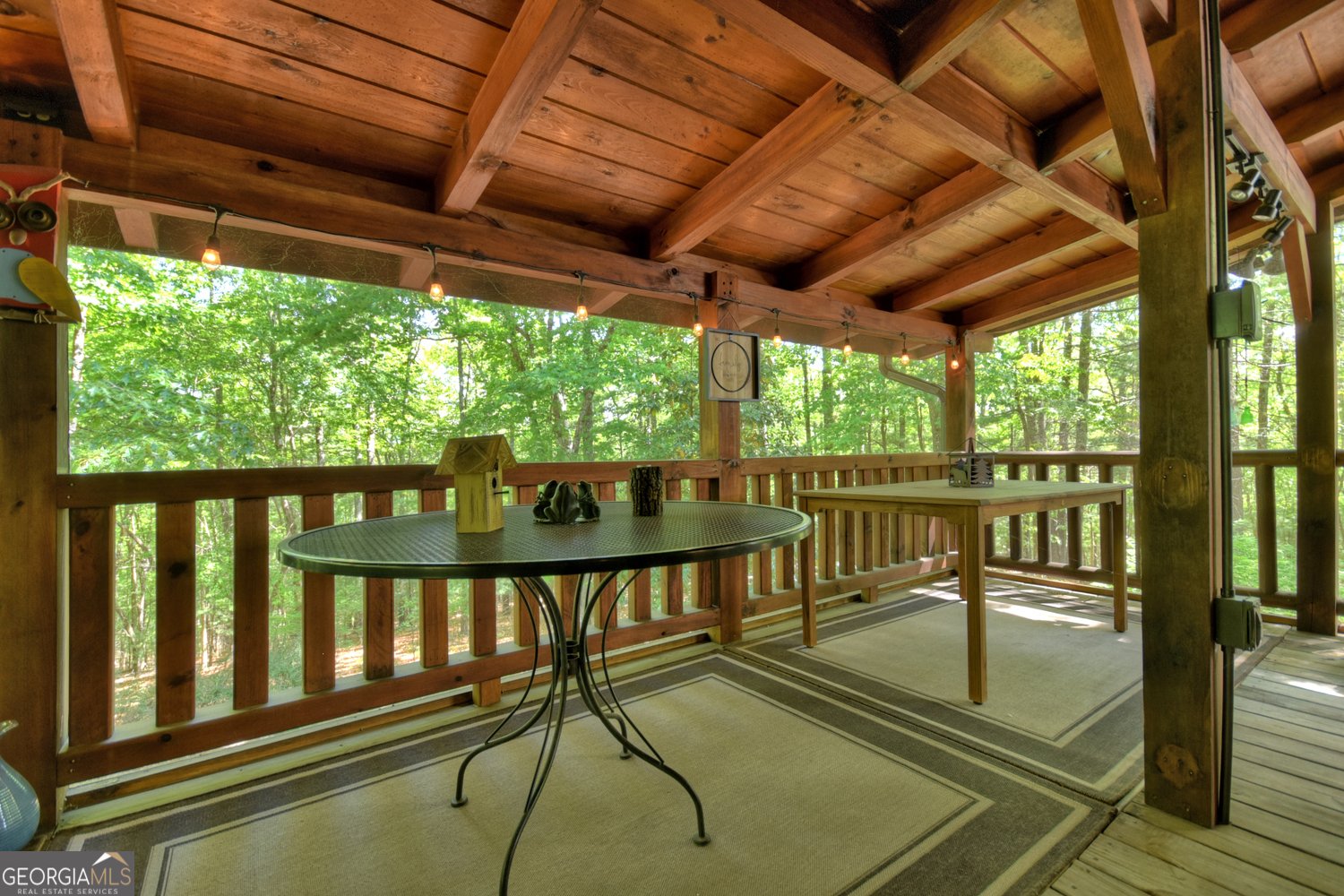 47 Blue Sky Drive Blue Ridge - 46