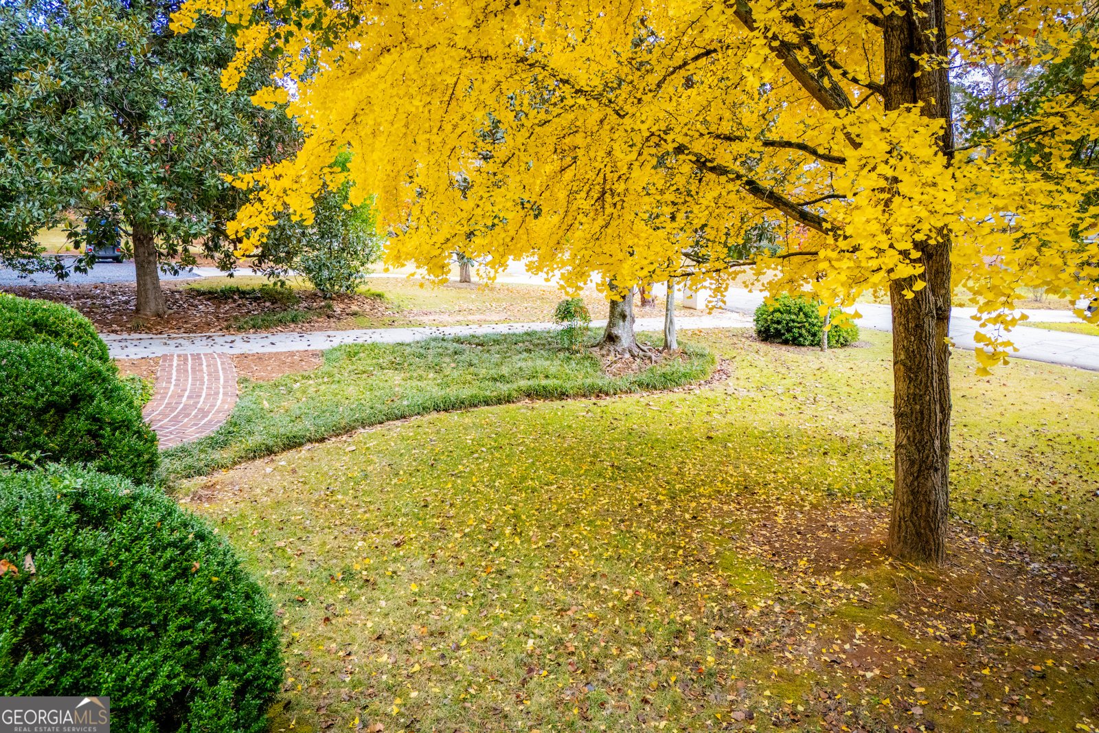 223 Sunset Boulevard Carrollton - 65