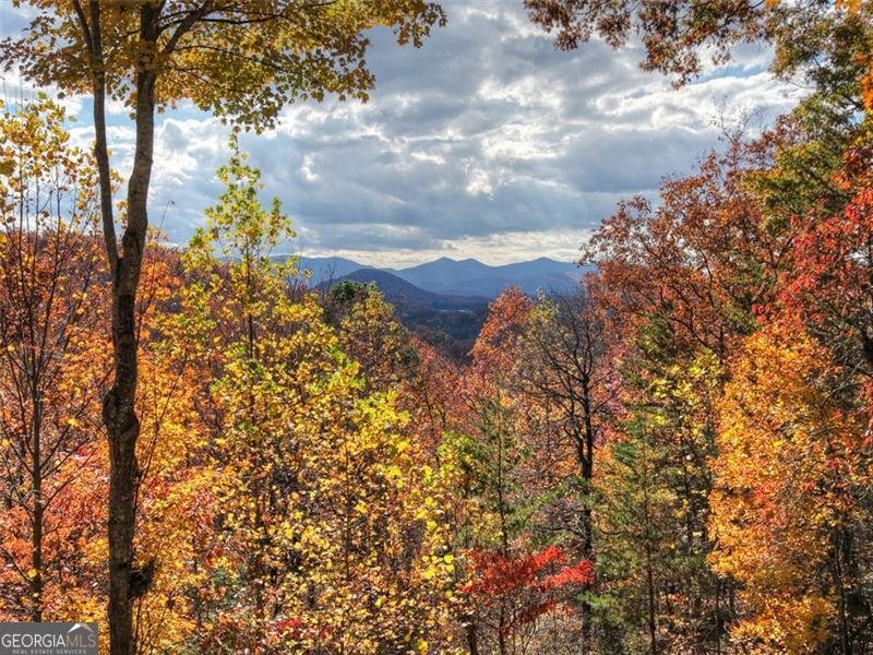 654 DOC THOMAS RIDGE Road Blairsville - 1