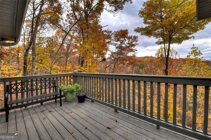 654 DOC THOMAS RIDGE Road Blairsville - 11