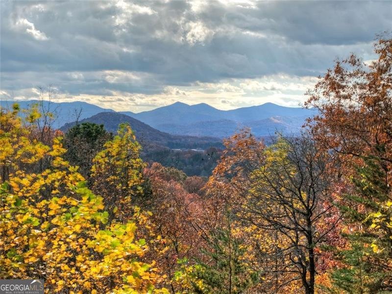 654 DOC THOMAS RIDGE Road Blairsville - 2