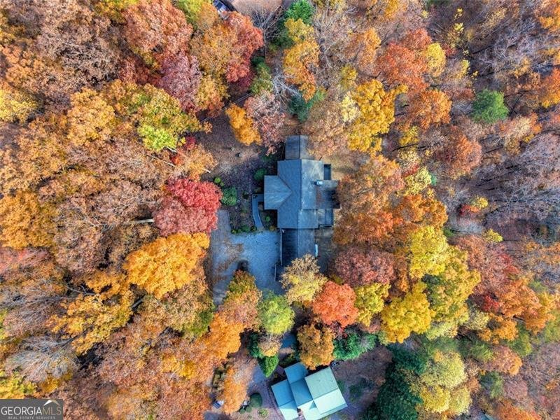 654 DOC THOMAS RIDGE Road Blairsville - 3