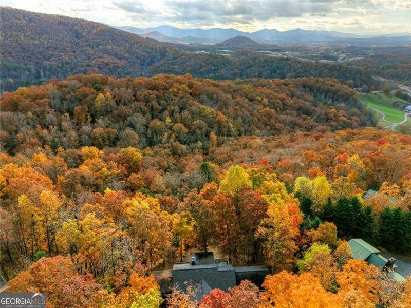 654 DOC THOMAS RIDGE Road Blairsville - 4