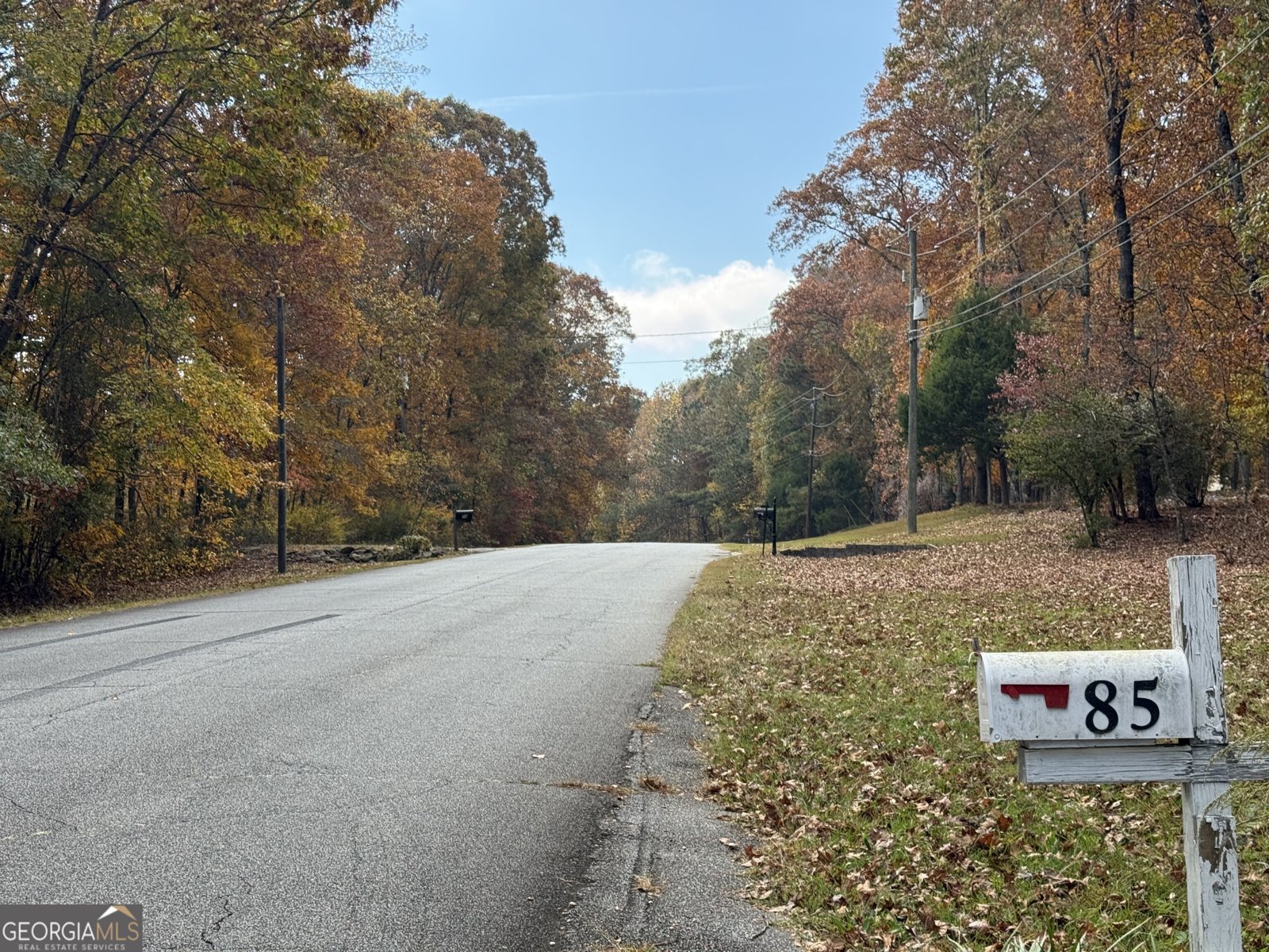 85 Annie Chandler Trail Lawrenceville - 2