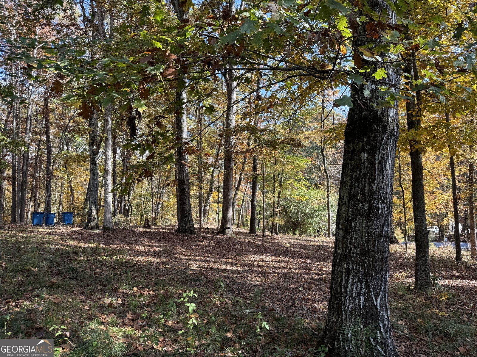 85 Annie Chandler Trail Lawrenceville - 49