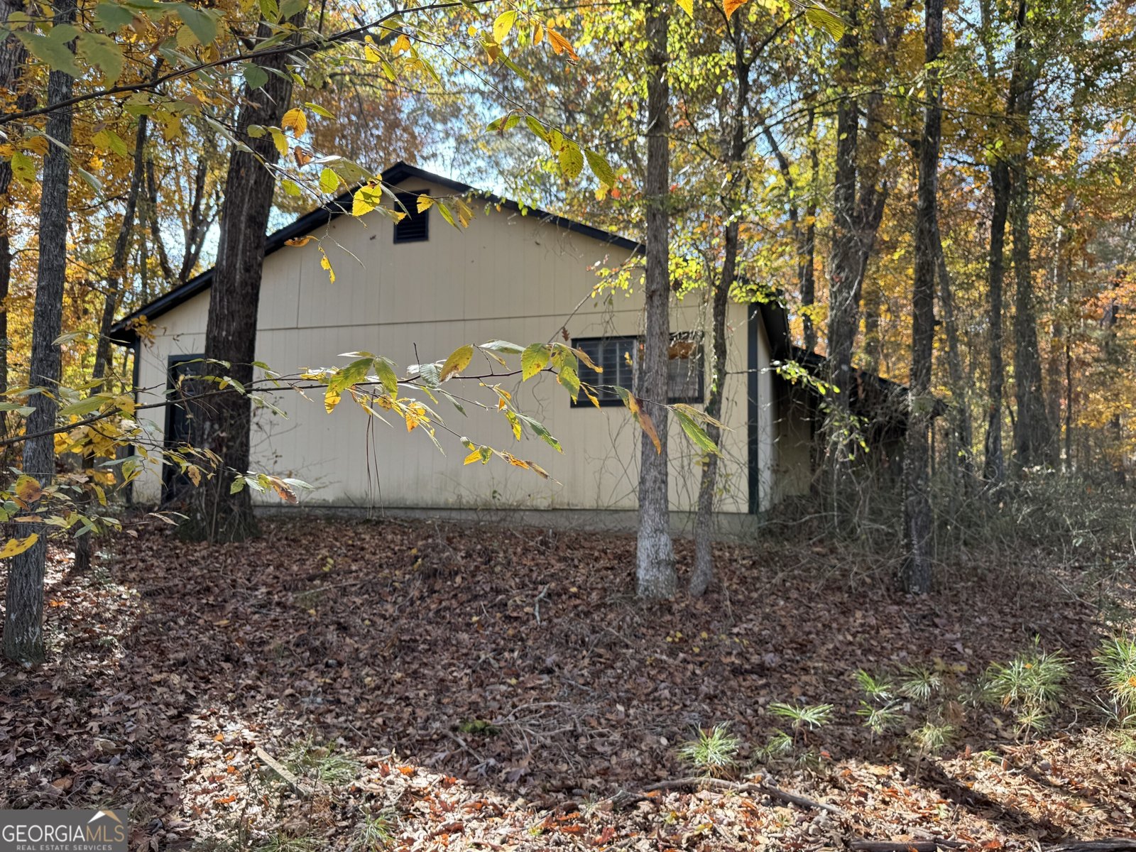 85 Annie Chandler Trail Lawrenceville - 55