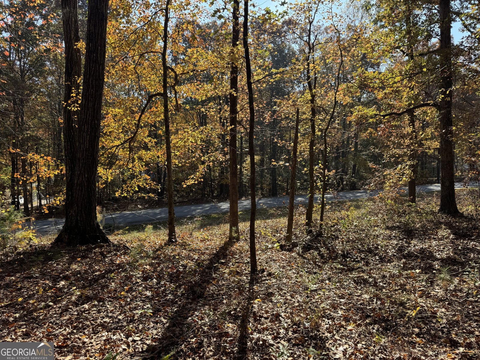 85 Annie Chandler Trail Lawrenceville - 57