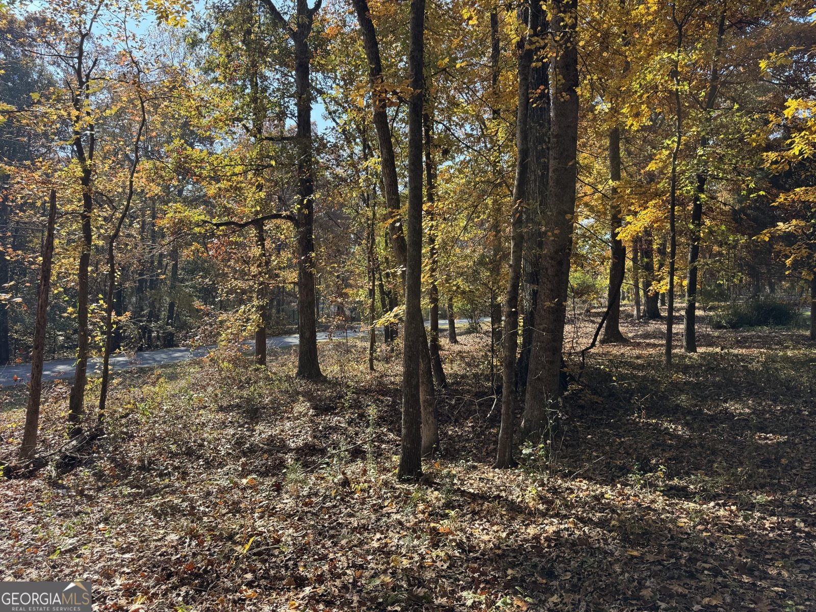 85 Annie Chandler Trail Lawrenceville - 58