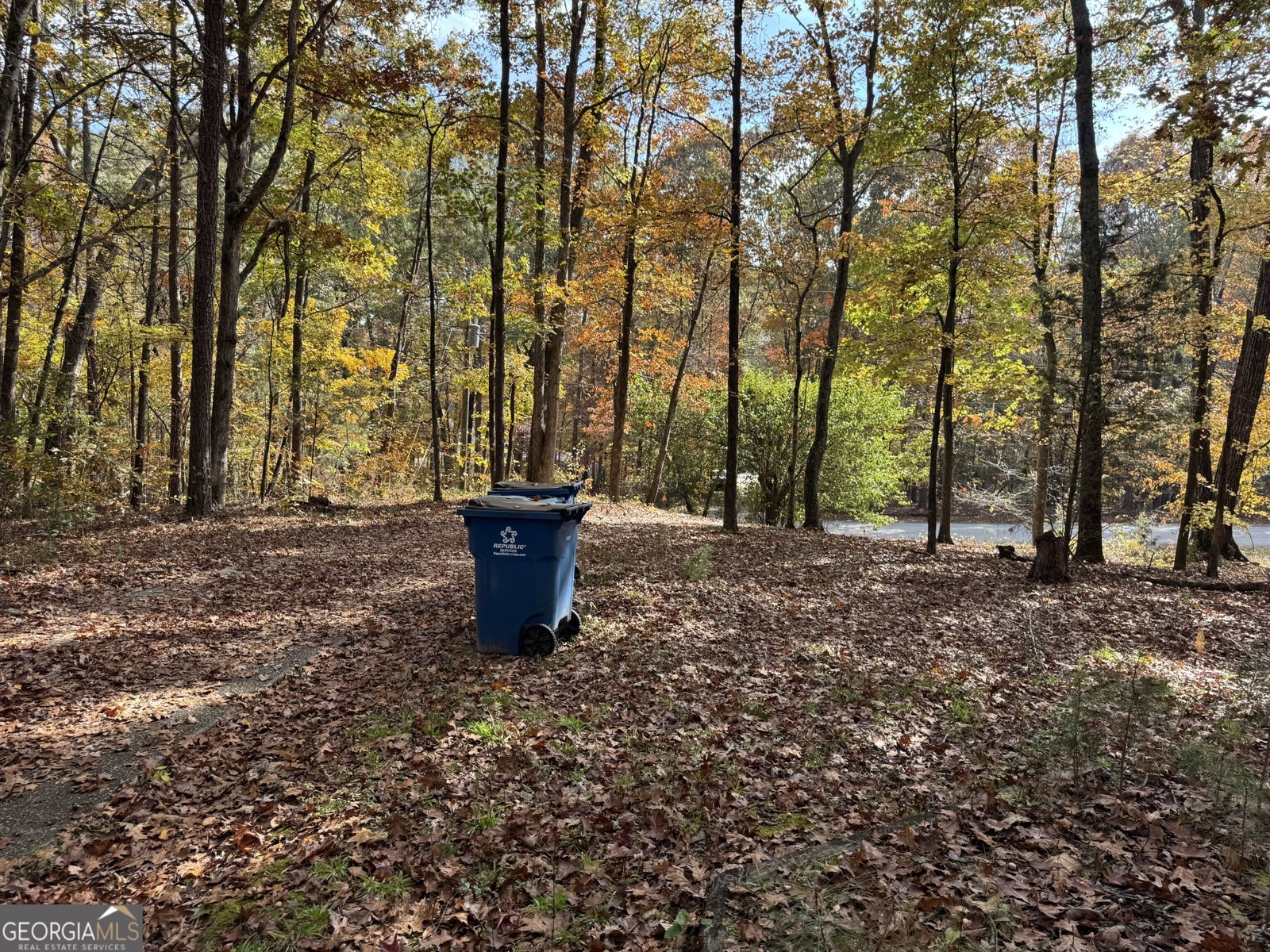 85 Annie Chandler Trail Lawrenceville - 59