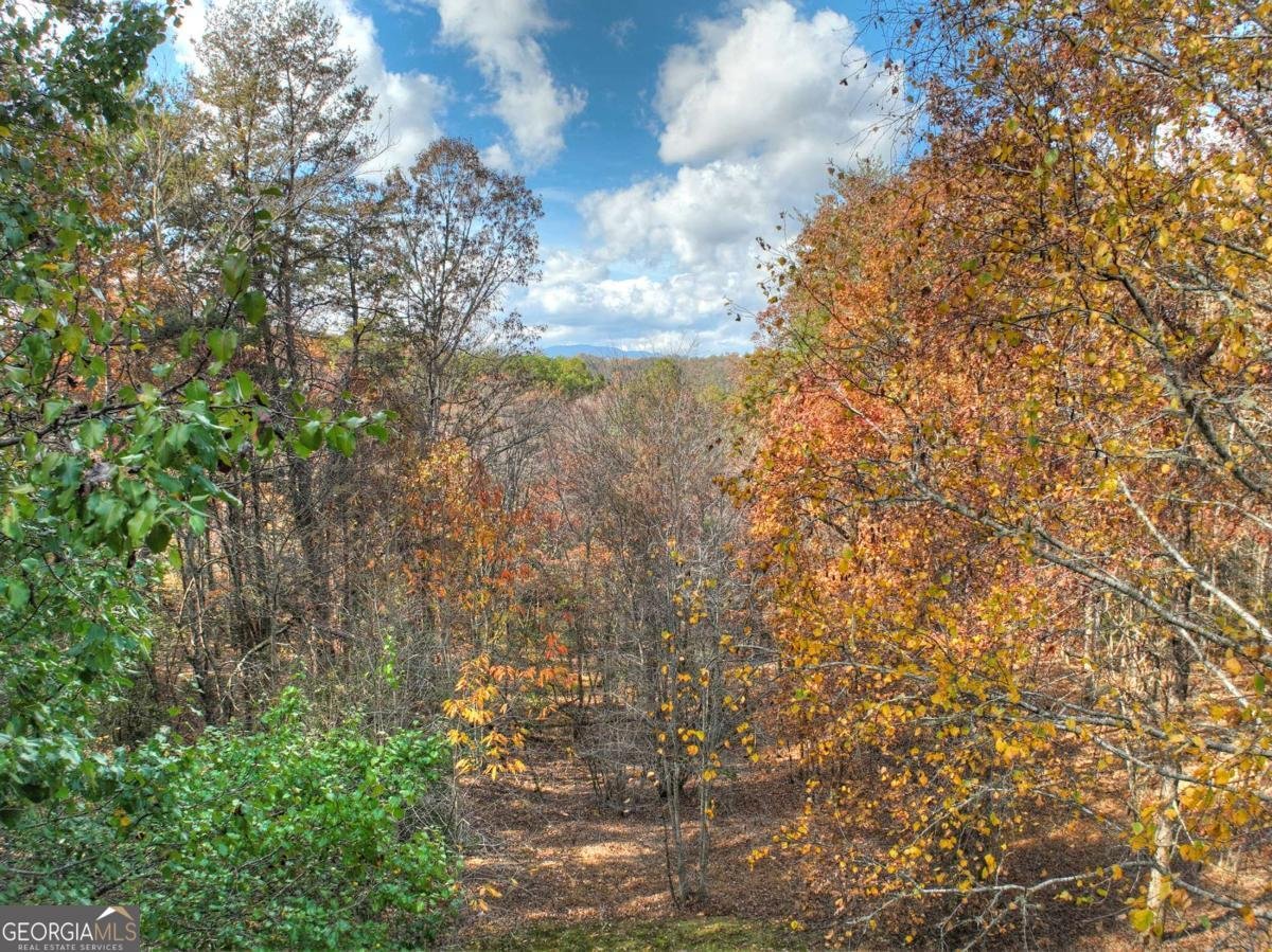 100 Arrow Way Mineral Bluff - 22