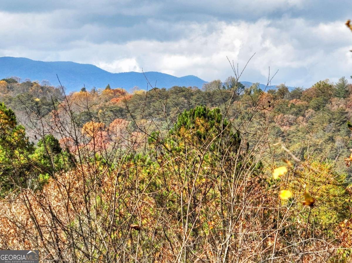 100 Arrow Way Mineral Bluff - 23