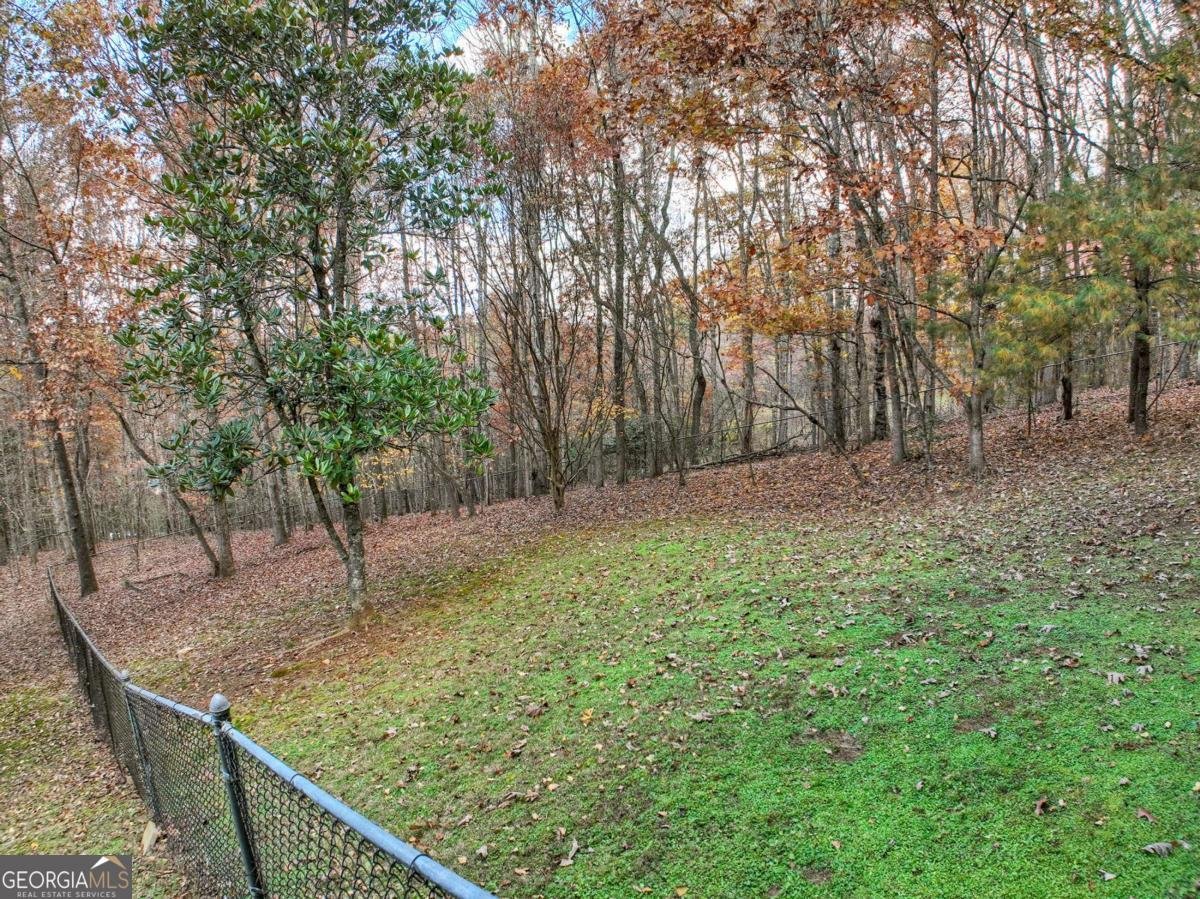 100 Arrow Way Mineral Bluff - 3