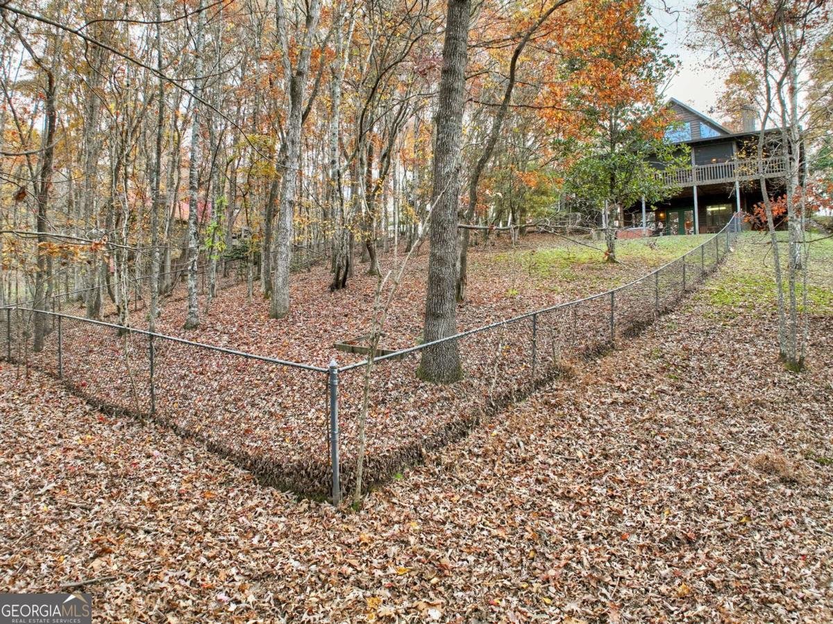 100 Arrow Way Mineral Bluff - 4