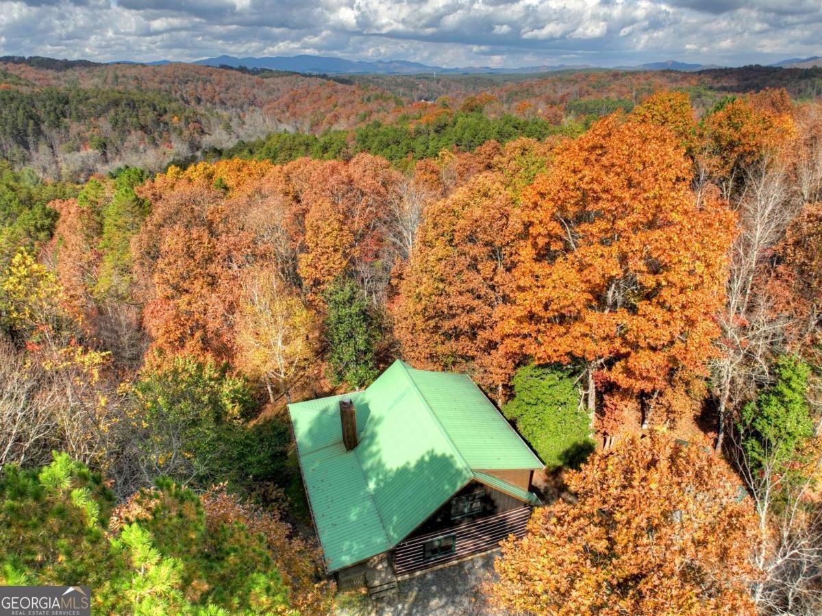 100 Arrow Way Mineral Bluff - 52