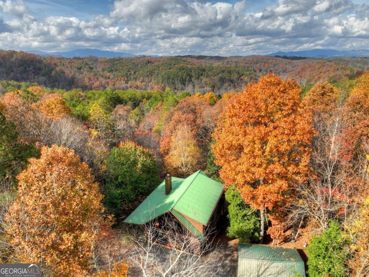 100 Arrow Way Mineral Bluff - 9