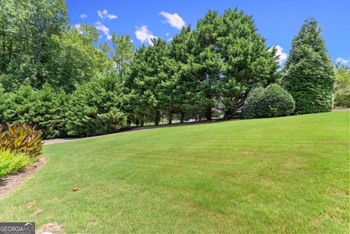 5230 Harris Springs Drive Cumming - 49