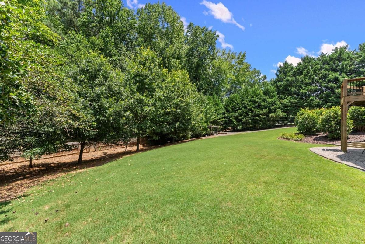 5230 Harris Springs Drive Cumming - 50