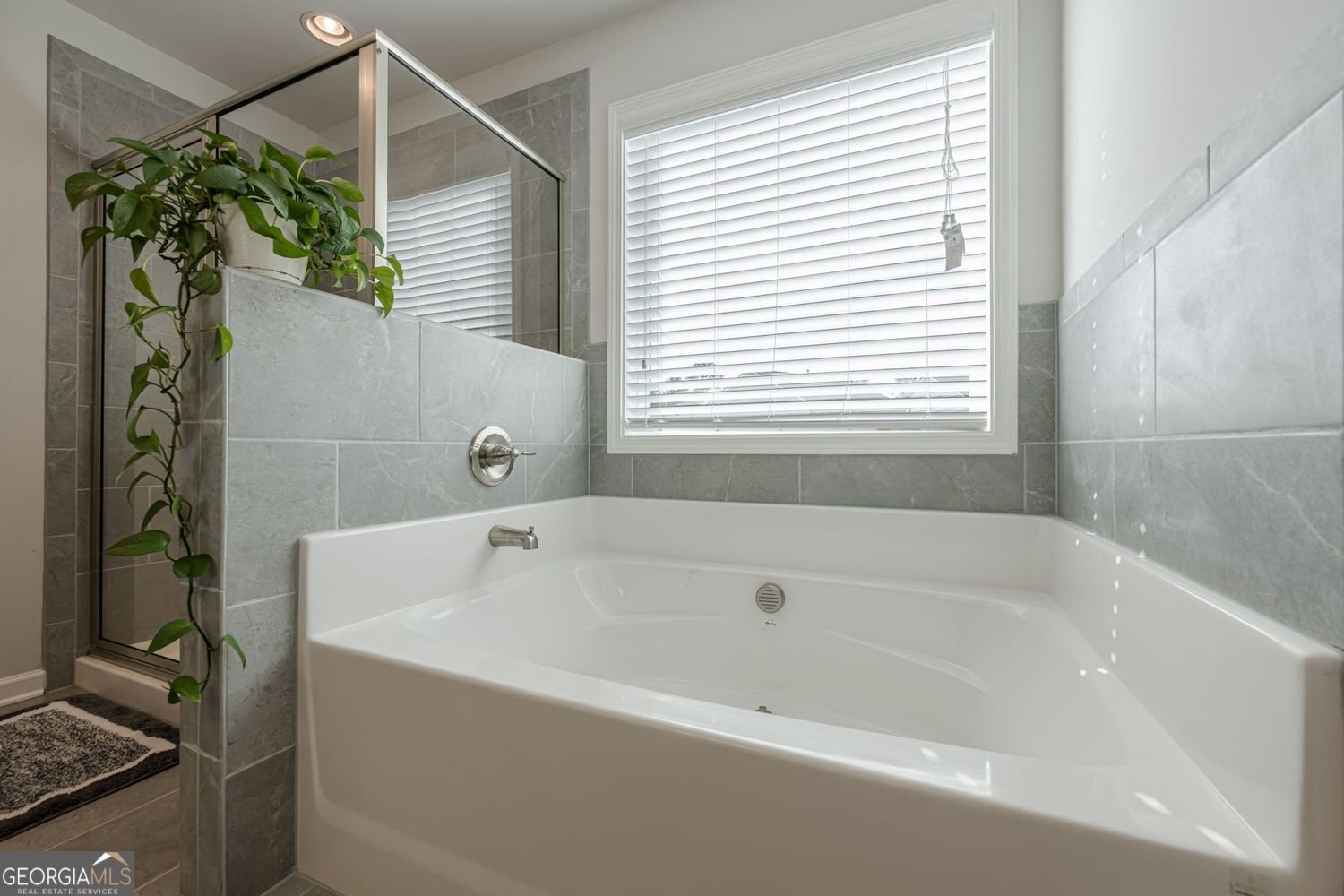 3593 Dover Run Lane Loganville - 38