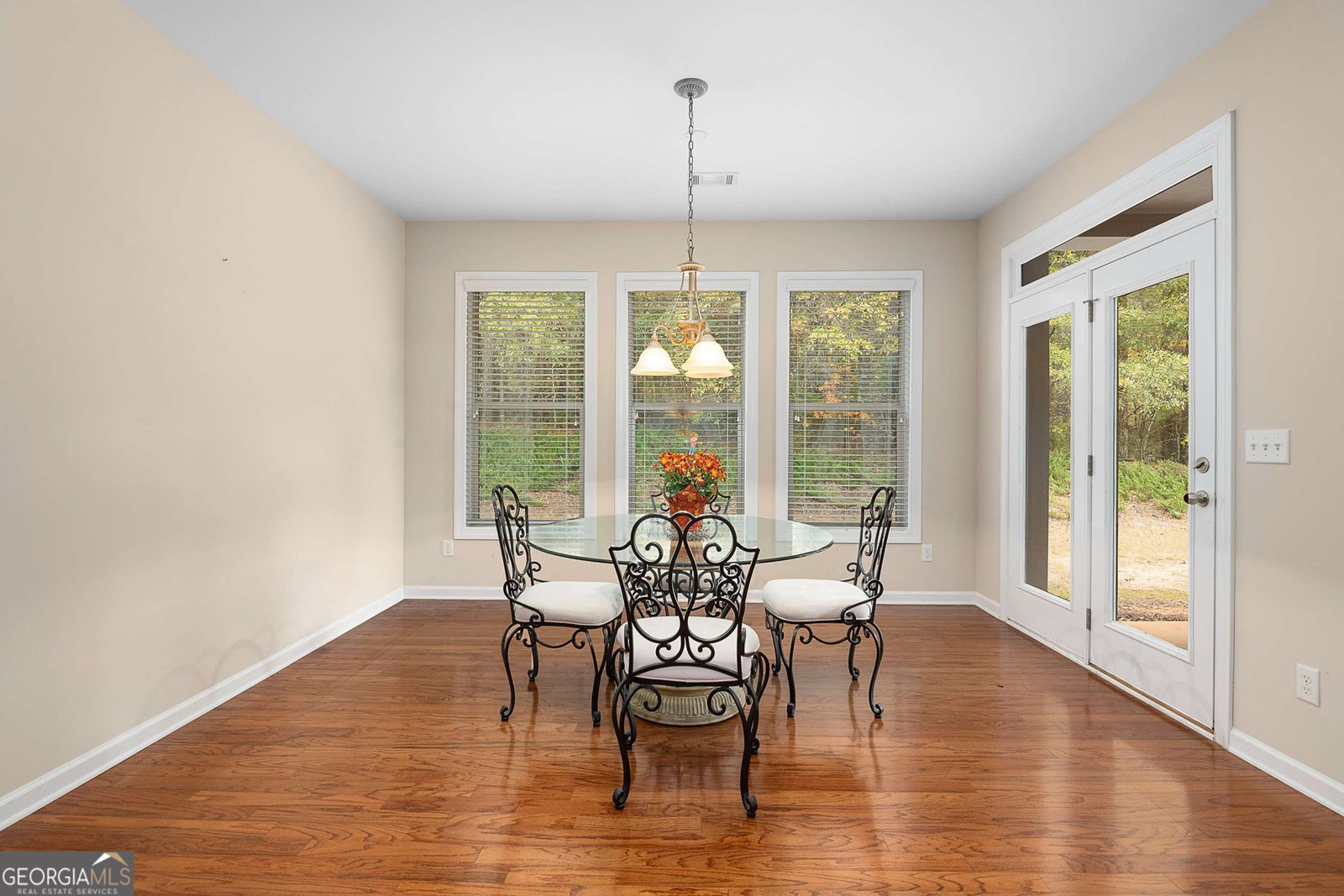 45 Mulberry Drive Senoia - 14