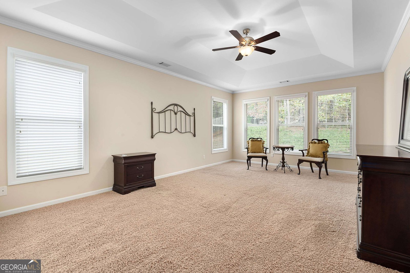 45 Mulberry Drive Senoia - 18