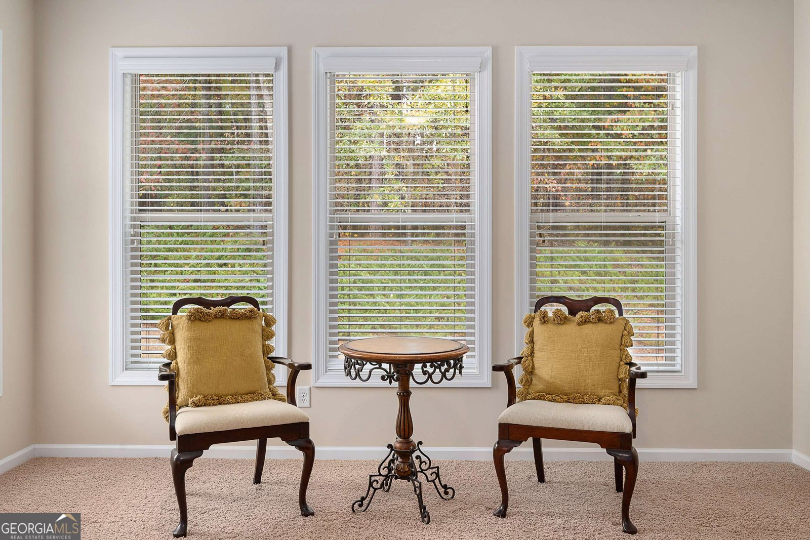 45 Mulberry Drive Senoia - 19