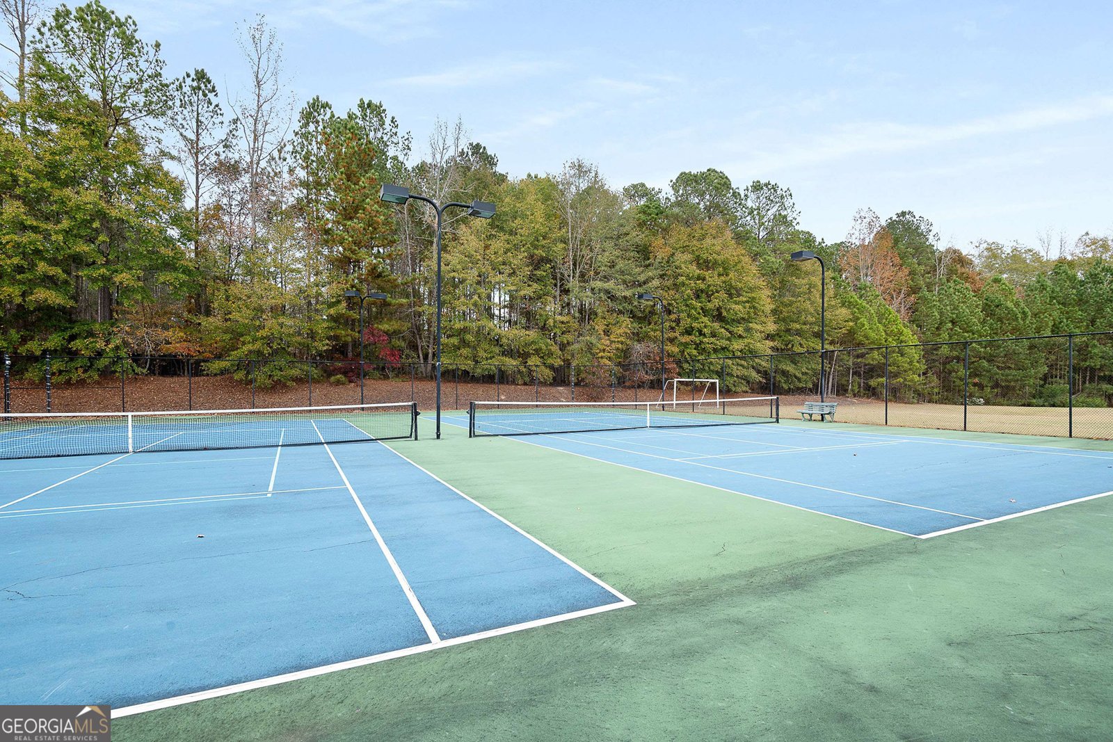 45 Mulberry Drive Senoia - 42