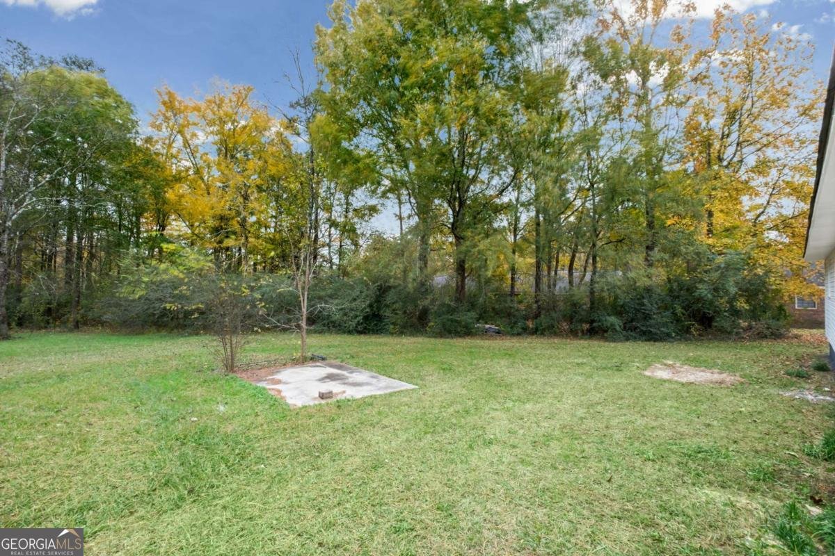 1744 Old Summerville Road Rome - 25