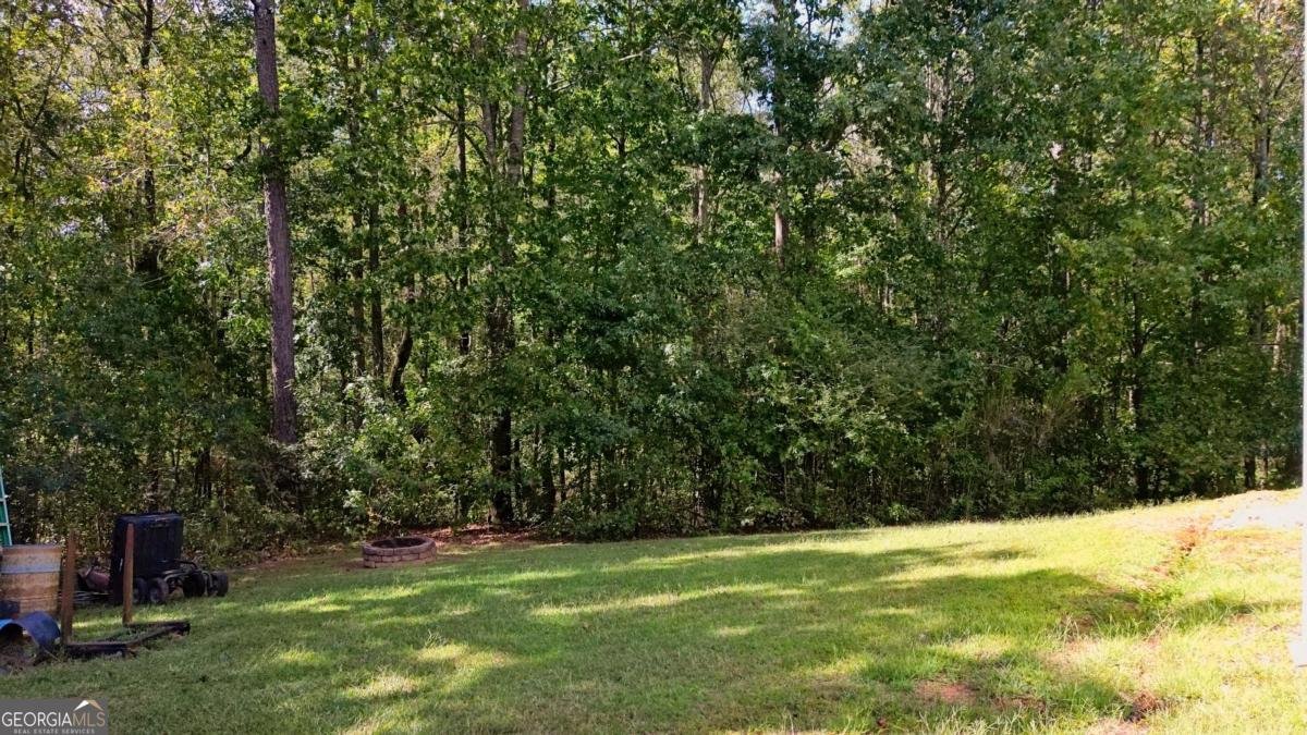 100 Liberty Bell Lane Griffin - 35