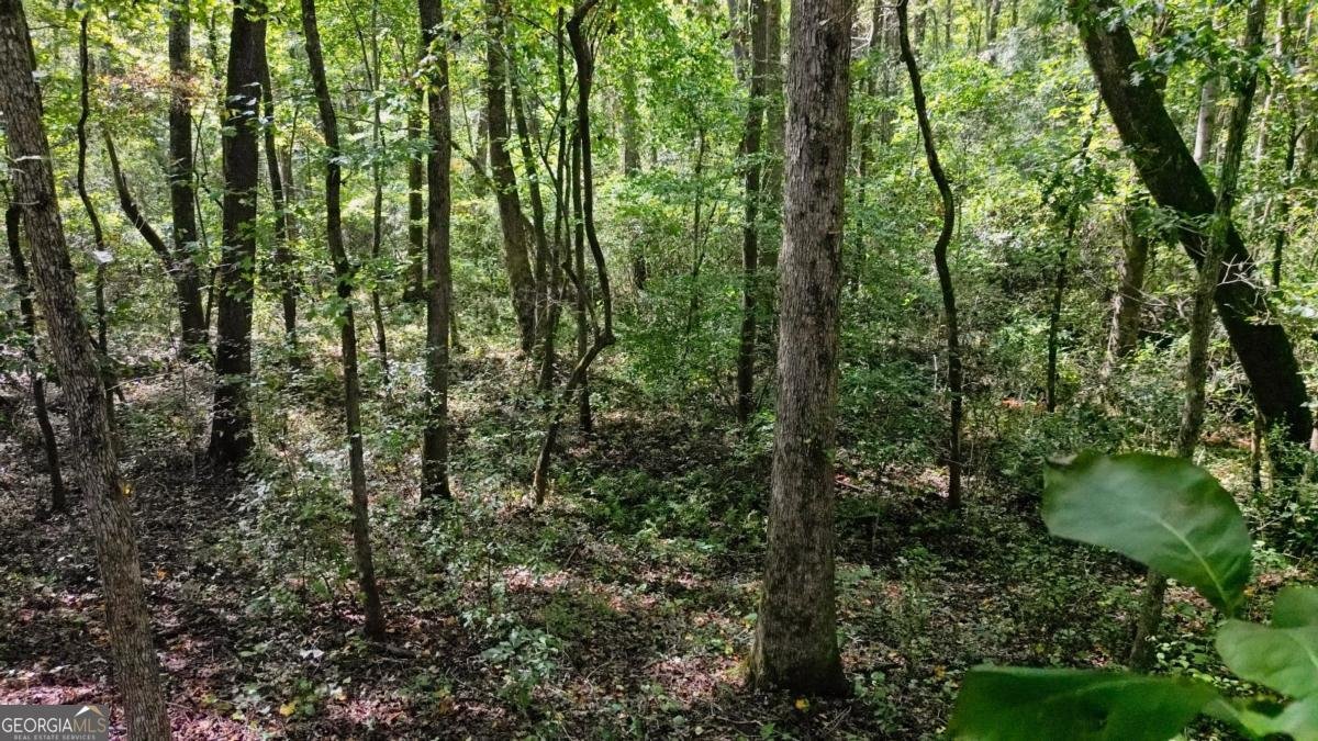 100 Liberty Bell Lane Griffin - 39