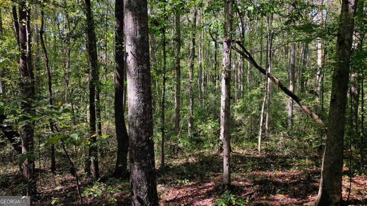 100 Liberty Bell Lane Griffin - 40