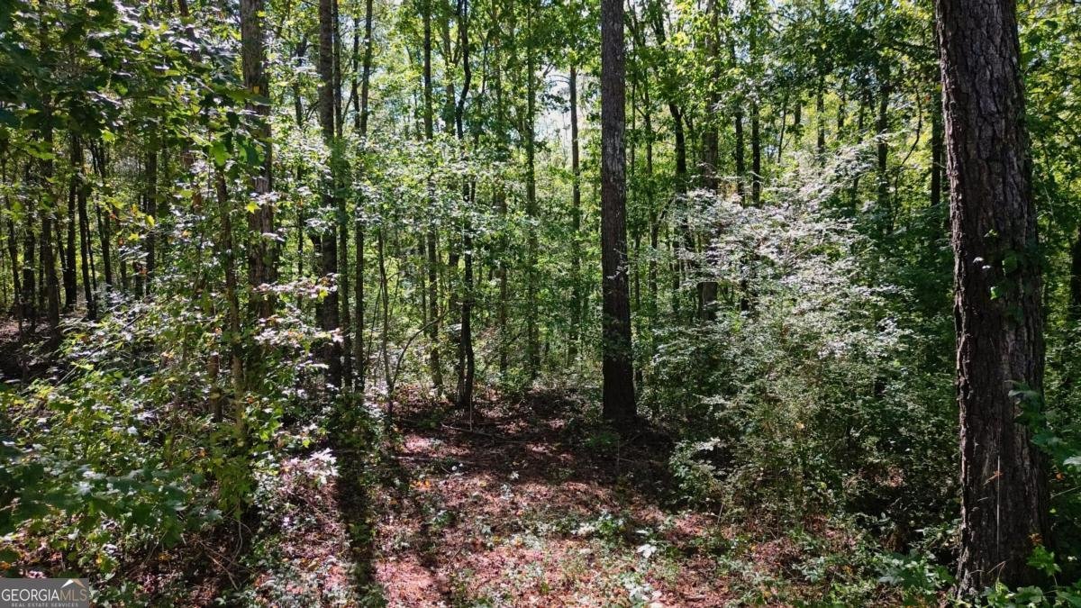 100 Liberty Bell Lane Griffin - 41