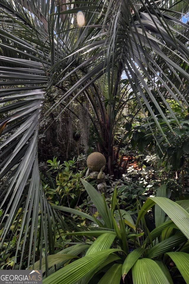 2229 Reynolds Street Brunswick - 20