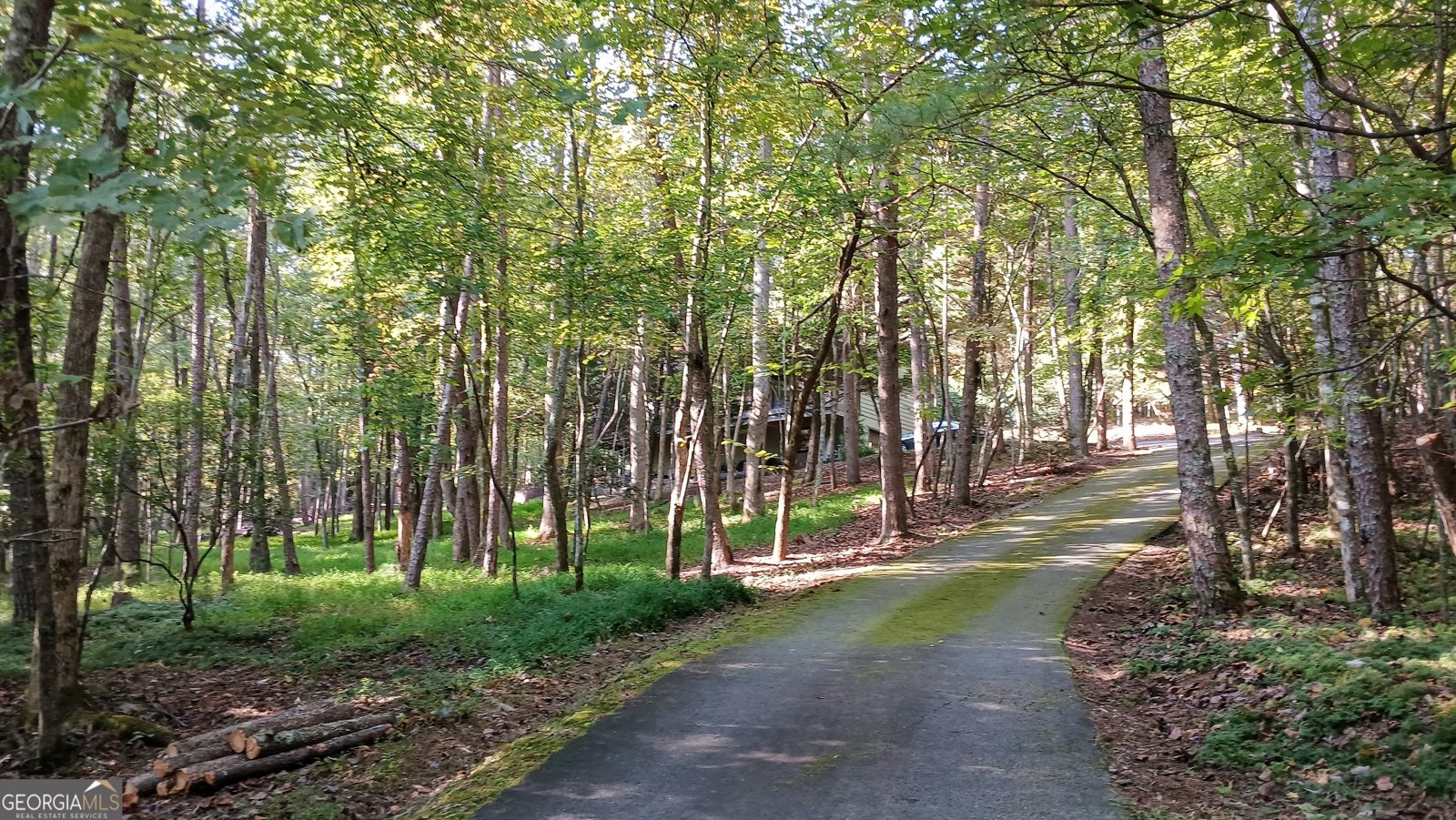 168 Cherokee Trail Sautee Nacoochee - 14