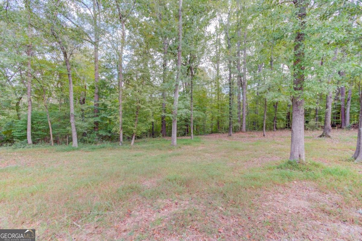 624 Skyland Drive Hoschton - 35