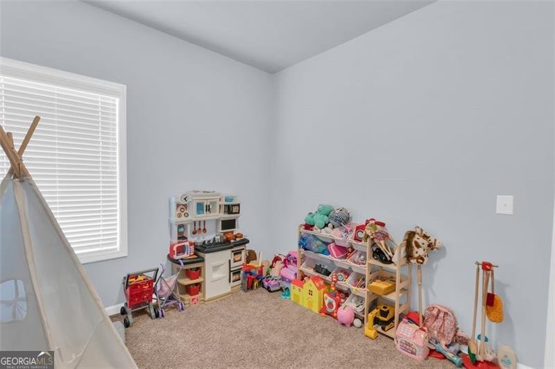 3039 HIGHWAY 17 Highway Clarkesville - 31