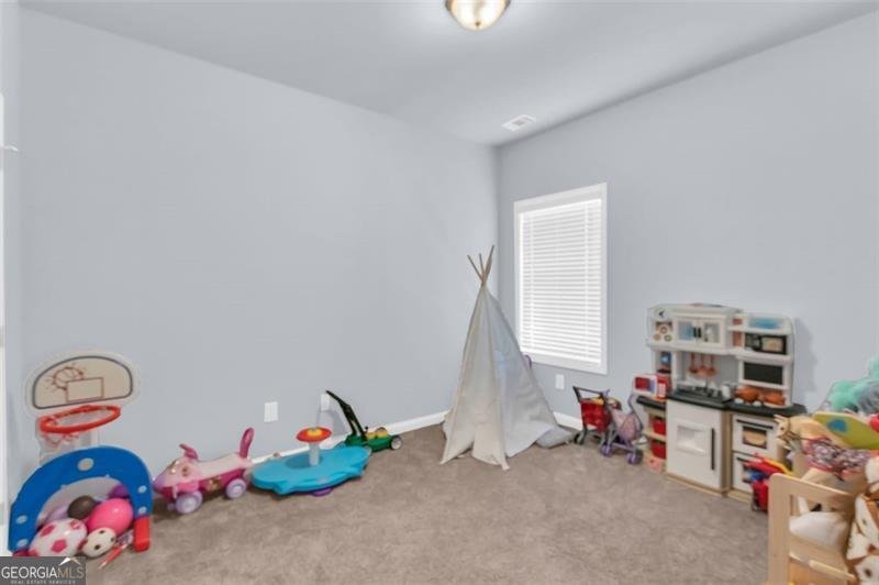 3039 HIGHWAY 17 Highway Clarkesville - 32