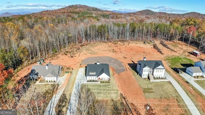 3039 HIGHWAY 17 Highway Clarkesville - 5