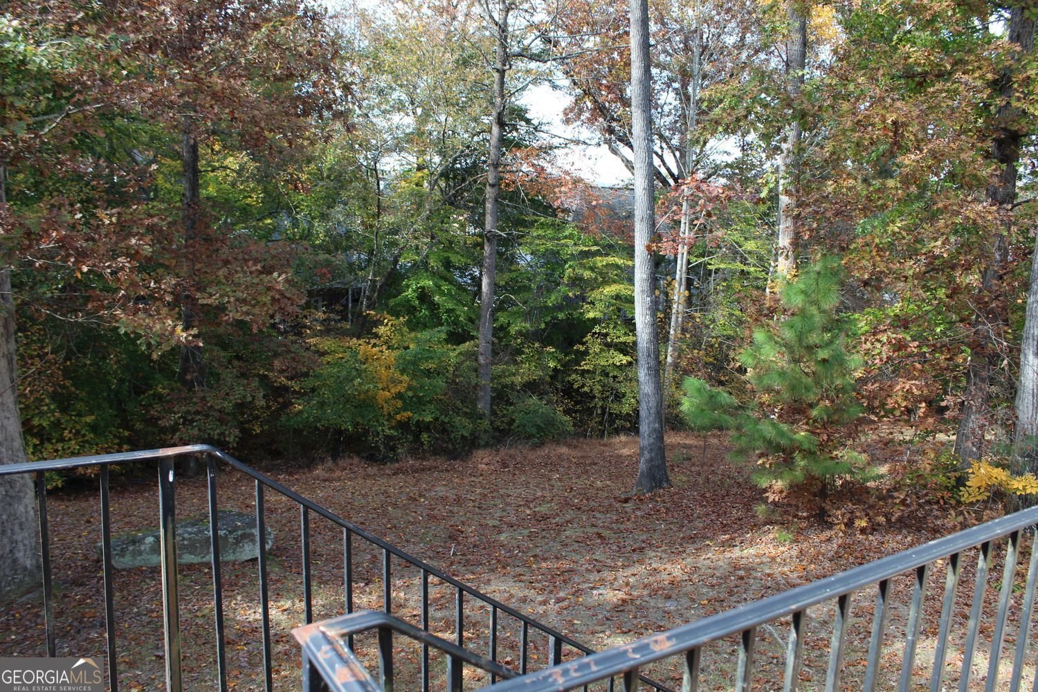 3411 Jim Moore Road Dacula - 21