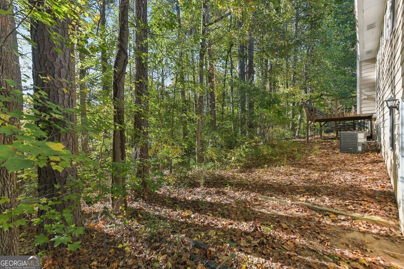 258 Cristy Drive Dallas - 35