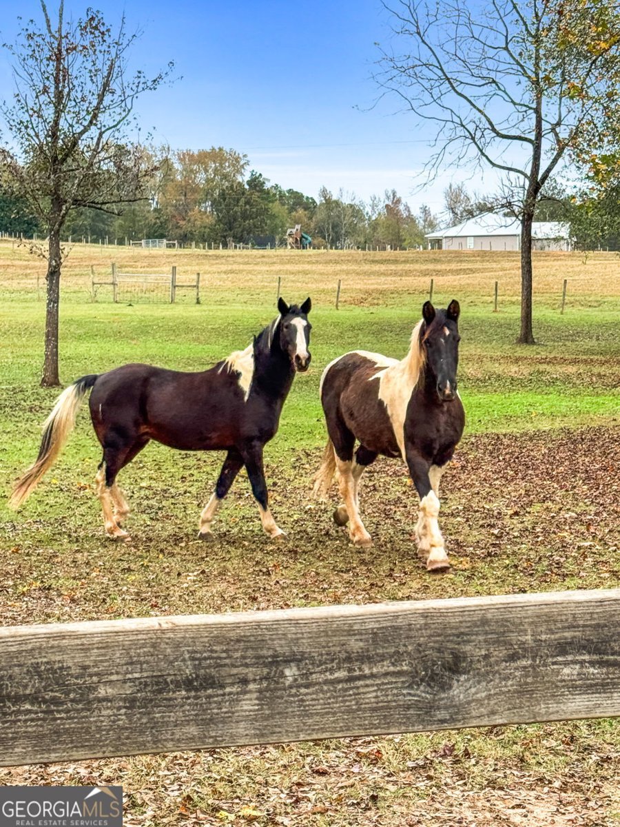 228 Indian Creek Road Locust Grove - 39