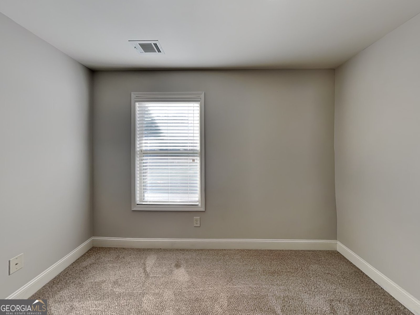 563 Cherry Creek Drive Loganville - 18