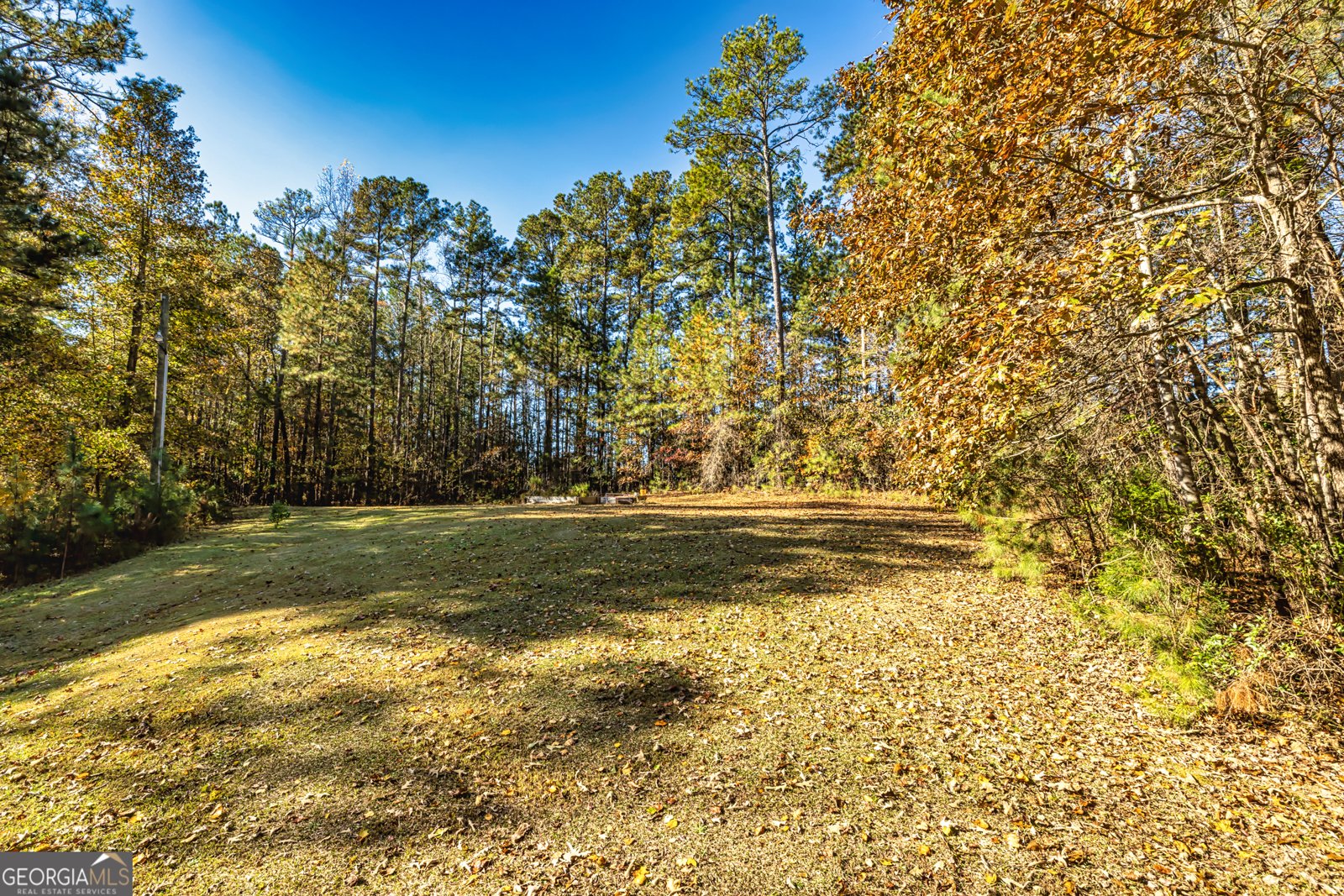 84 Pierce Chapel Road Newnan - 3