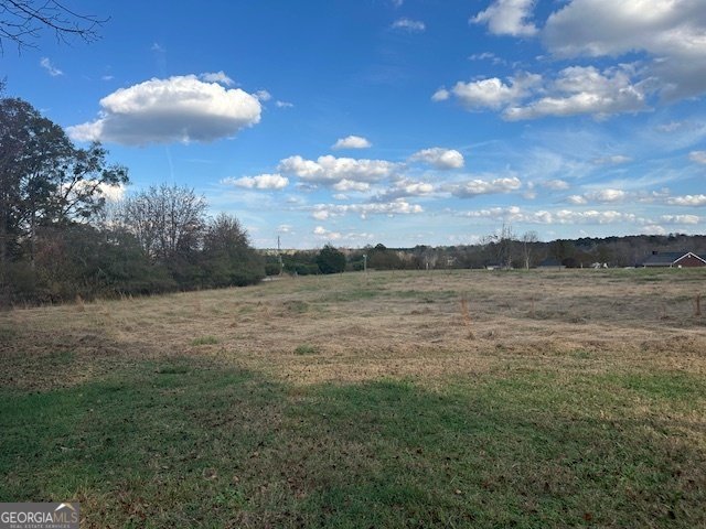 110 Fannin Road Griffin - 7