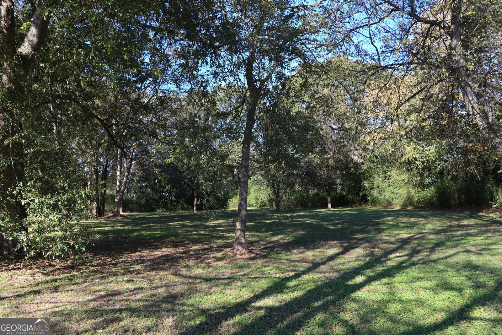 441 Lyerly Dam Road Lyerly - 10